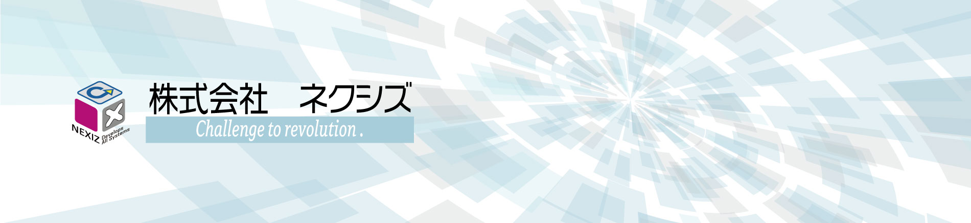 株式会社ネクシズ